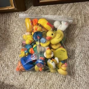 Bag of ducks